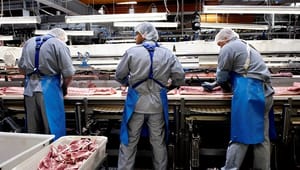 Fødevareforbundet: Et jobløst landbrug bør ikke have en fremtid i Danmark