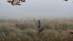 Jægerforbund: Jagt skal tilpasses mål for biodiversiteten