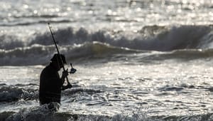 Sportsfiskere om EU-forslag: Lystfiskeri truer ikke biodiversiteten