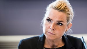 Tidligere direktør for Institut for Menneskerettigheder skal forsvare Støjberg i Rigsretten