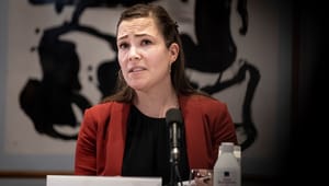 V-kandidat: København bør gå forrest i kampen for sexarbejderes rettigheder