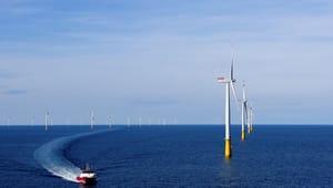 Wind Denmark: Statsligt strømsalg vil føre til priskollaps