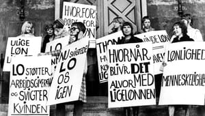 Dansk utilfredshed: Nye EU-krav om ligeløn går alt for vidt