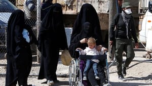 Stort flertal i EU-Parlamentet vil have hentet børn hjem fra IS-lejre: Danske socialdemokrater er totalt isolerede