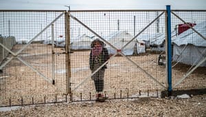 Glem danske børn i Syrien et øjeblik: Politikerne spiller højrøvet fandango med Danmarks sikkerhed