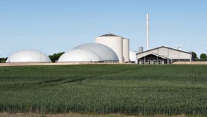 Biogas Danmark: Plantebaseret fødevareproduktion får brug for biogasanlæg