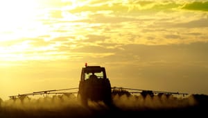 Nye tal viser halvering på ti år: Landbruget køber langt færre skadelige sprøjtemidler