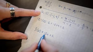 Rektor: Skinger kritik fra eksperter må ikke skyde nye matematik-lærerplaner til hjørne