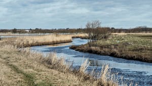 Dansk Miljøteknologi: Nye vandplaner kan bringe Danmark i front på vandteknologi