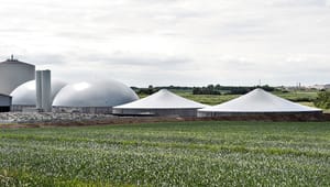 Biogas Danmark: Øget biogasproduktion giver bedre vandmiljø