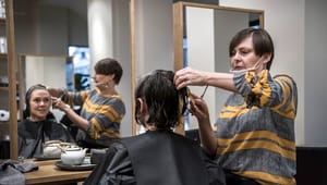 Professor kritiserer manglende testkrav til frisører og kørelærere