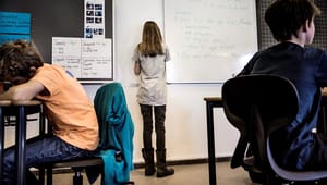 Forsker: Nye initiativer i folkeskolen må tage udgangspunkt i problemer som ulighed