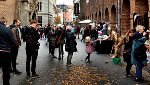 Radikale: Sådan sikres studerende tag over hovedet i København