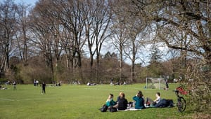 Borgmester og idrætsaktører: Nordhavn har brug for en Fælledpark – ikke et fuglereservat
