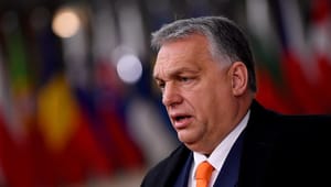 Lektor: Orbáns Ungarn er langt fra en perfekt retsstat. Men det er heller ikke et diktatur