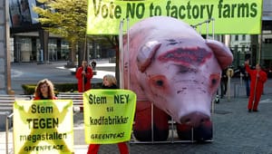 Greenpeace ansætter ny landbrugspolitisk rådgiver