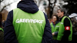 Greenpeace: Store dele af EU's Green Deal er greenwashing