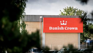 Juraprofessor: "Grønvaskningssag" mod Danish Crown bliver næppe den sidste af sin slags