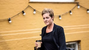 Teaterdirektør: Dansk kulturliv må ikke blive en pasningsgaranti for højtuddannede