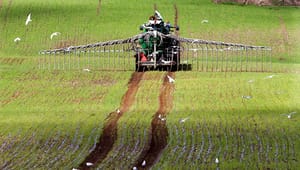 Forskere: Forhandlingerne om EU’s landbrugspolitik giver grund til bekymring