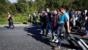 Dublin-forordningen giver Danmark flere asylansøgere