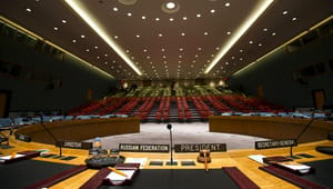 Ambassadør: Danmark og Emiraterne støtter hinandens kandidatur til FN's Sikkerhedsråd