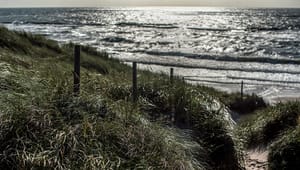 Danmarks smukke naturskat er ved at blive tilintetgjort