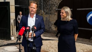 Tolkesagen siger noget grundlæggende om Danmark som nation