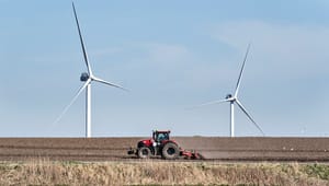 Greenpeace: Tag arealer fra landbruget, når vi mangler plads til vindmøller og natur