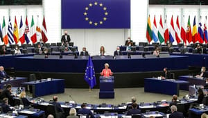 Danske EU-politikere giver deres bud på Unionens tilstand