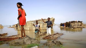 Klimarådgiver: Erstat myter og fejltagelser med tal og fakta i spørgsmålet om klimaflygtninge