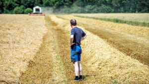 Socialdemokratiet afviser blå kritik: Vores landbrugsudspil koster ikke arbejdspladser