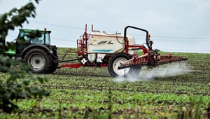 Landbrugets store aktører: Vi er klar til at reducere pesticidbelastningen - men udbytterne skal stige