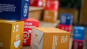 Landsorganisationen for sociale tilbud laver SDG-kodeks til medlemmer