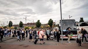 Dansk Persontransport: Hvis omstillingen af turistbusserne skal lykkes, kræver det hjælp fra staten