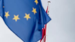 Nyt Europa: Debatten om EU-forbeholdene skygger for vigtigere emner