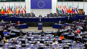 Formand for Retspolitisk Forening: Konflikt med Polen afslører EU's selvretfærdige hykleri