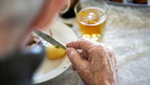 Kost og Ernæringsforbundet: Ældre Sagen peger fejlagtigt fingre ad økologien