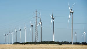 Røde byrådskandidater vil have flere vindmøller – de blå siger nej