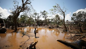 Klimarådgiver: Rige lande skal tage større ansvar for klimakatastrofer i skrøbelige lande på COP26