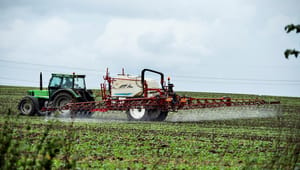 Aktører: Løsninger for færre pesticider findes. EU har bare ikke tilladt dem endnu