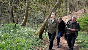 Verdens Skove: Danmark greenwasher nationalparkkonceptet