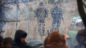 Migrantkaos spidser til på den polske grænse: ”Lukasjenko tror ikke, at EU har nogen nosser”
