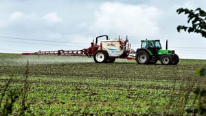 Netværk: Lovgivning står i vejen for brugen af bioalternativer til pesticider