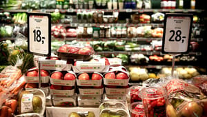 Forbrugerråd præsenterer seks kriterier for klimamærkning af fødevarer