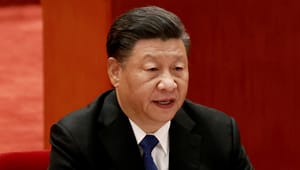 DI: Der er en bekymrende tendens til at dæmonisere Kina