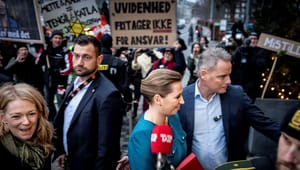 15 nedslag fra Lisbeth Knudsen: Minkkommissionen viser regeringen bag facaden