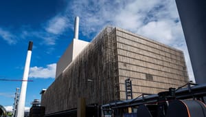 Københavnernes grønne varme kommer fra udlandet: 99 procent af Amagerværkets biomasse importeres