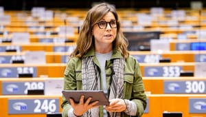 Pernille Weiss: Min første tid har lært mig, at mange i EU misunder Danmark