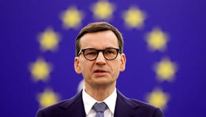 Polsk premierminister: EU-kvotehandelsspekulationer er politisk grønvask